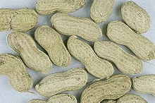 Erdnüsse in Schale 250 G